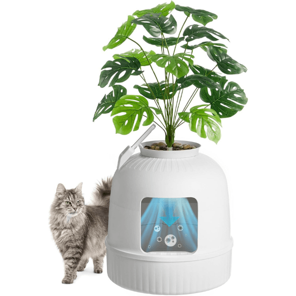 cxgatosbrancahaidhu